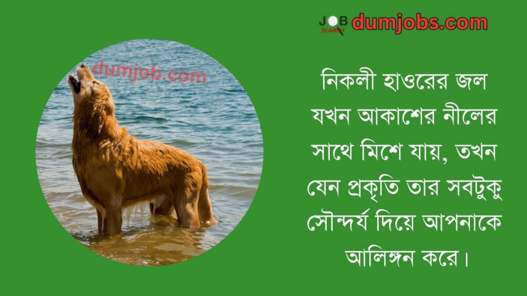 নিকলী হাওর নিয়ে ক্যাপশন